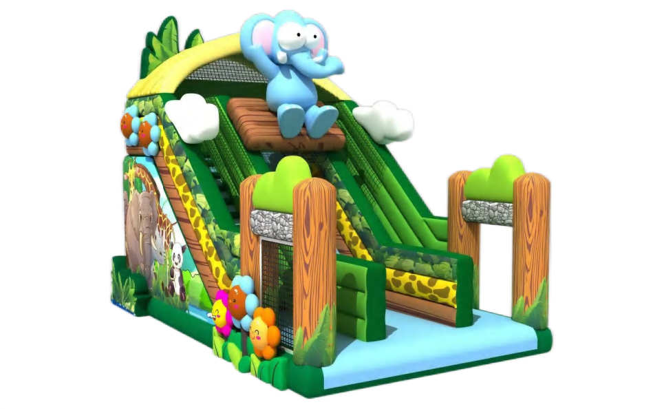 Personalized Small  Inflatable Bounce House Experience